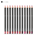 Pudaier 12PCs Red Matte Lipstick Lipgloss Lip Color